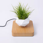 Johl Design - Zwevende Plant - Shopbrands