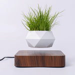 Johl Design - Zwevende Plant - Shopbrands